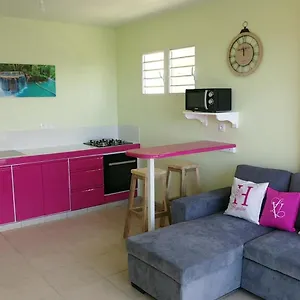 Lineddy/hapaline Appartement Riviere-Salee
